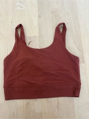 Nike longlineWomen’s Seamless Sports Bra Crop Top - Rust Red